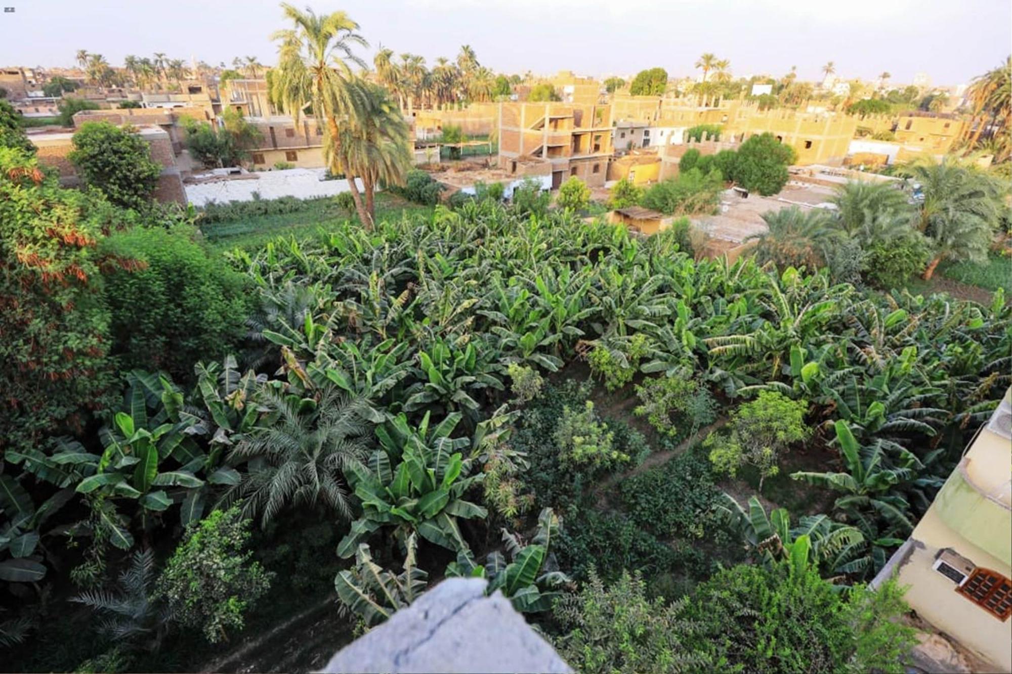 Luxor View Hostel Esterno foto
